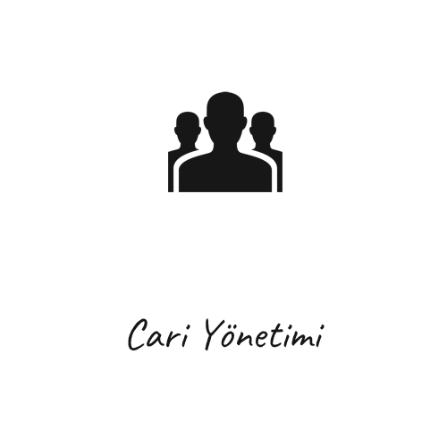 cari yönetimi